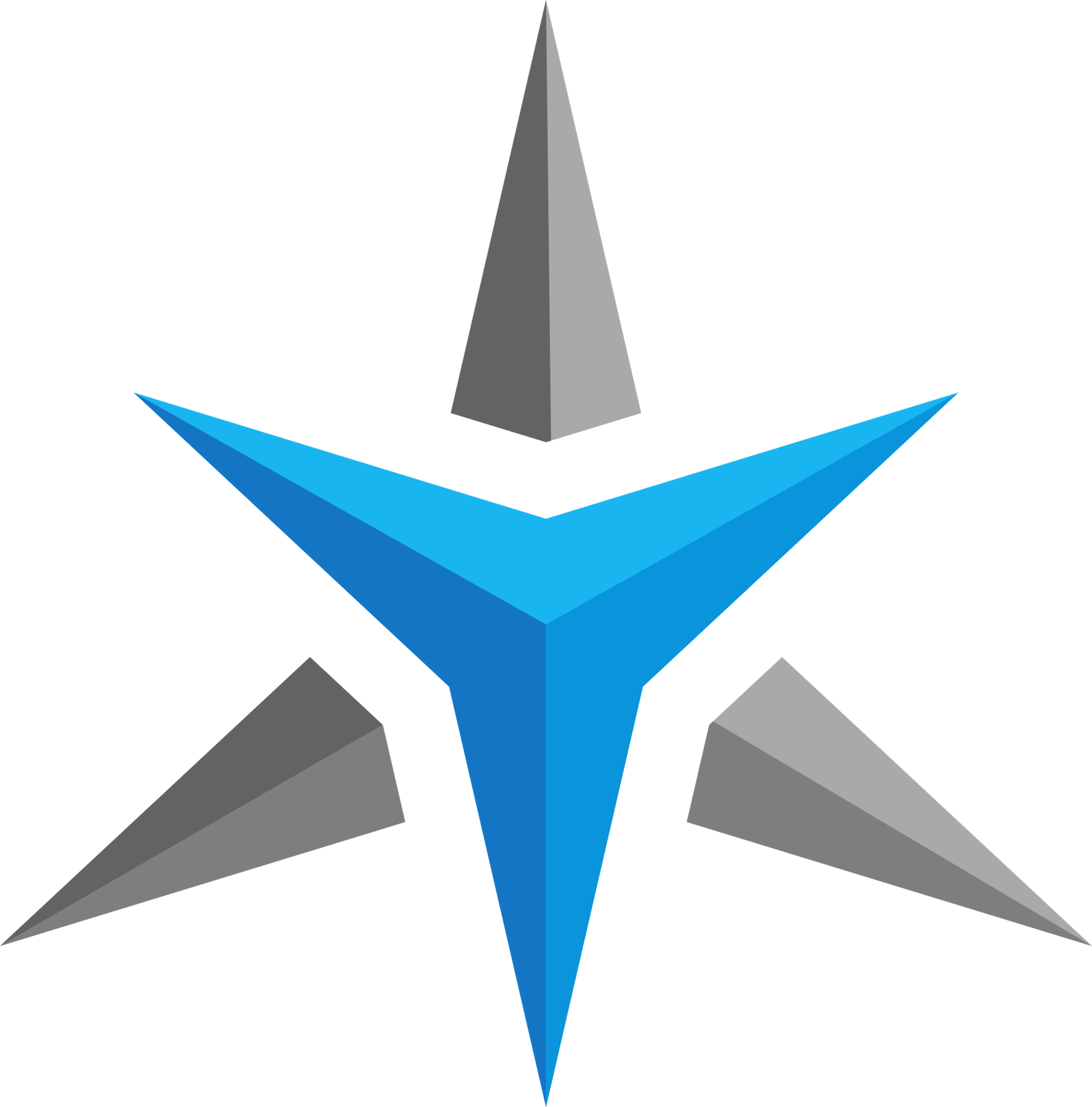 Logo used for Star Labs Systems branding